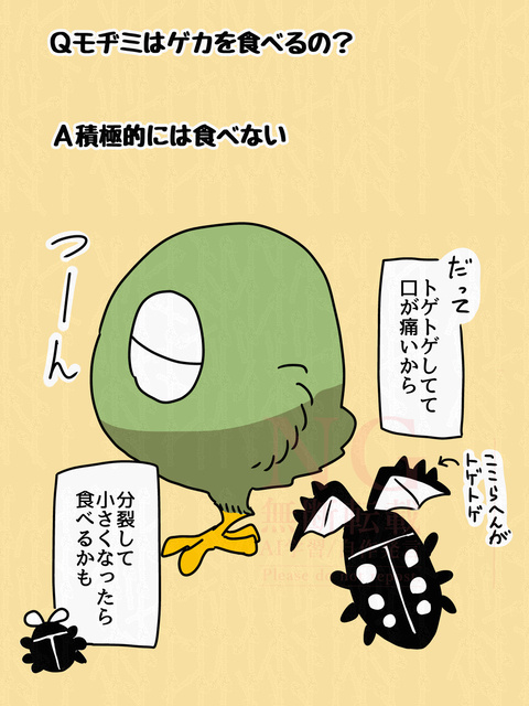 2025年『SNSに投稿したもの』と『描き納め』