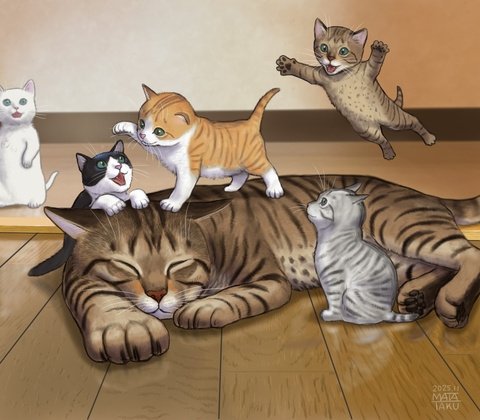 ボクらの遊び場