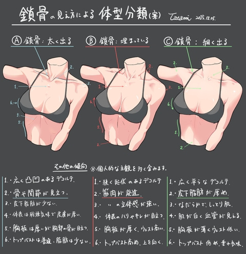鎖骨の見え方の分類（案）