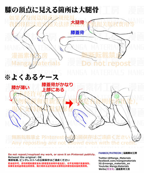 個人メモ：膝 / 大腿骨と膝蓋骨