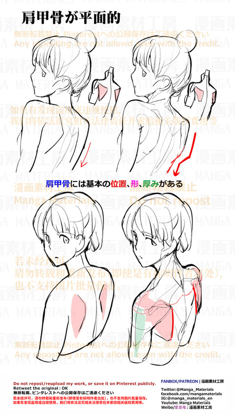 個人メモ：肩甲骨の筋肉変化