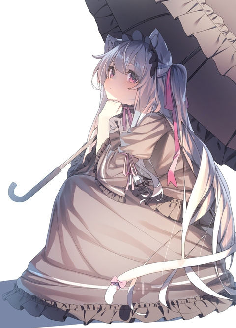 白猫の昼下がり